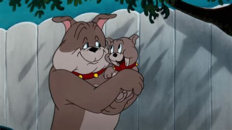 name of dog in tom and jerry|tom and jerry spike son.